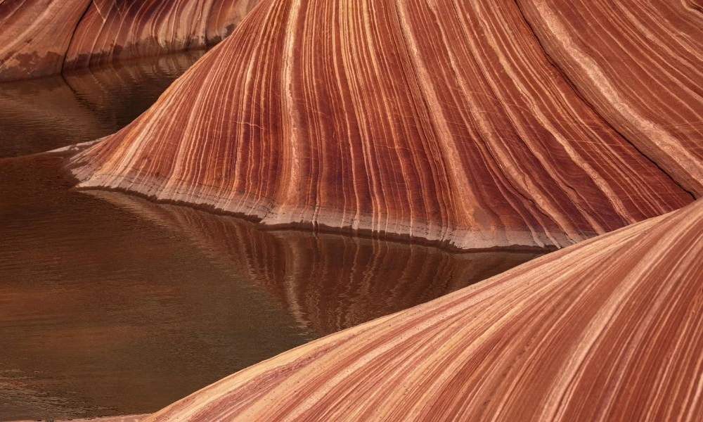 The Wave, el paisaje rocoso de Estados Unidos al que es casi imposible acceder