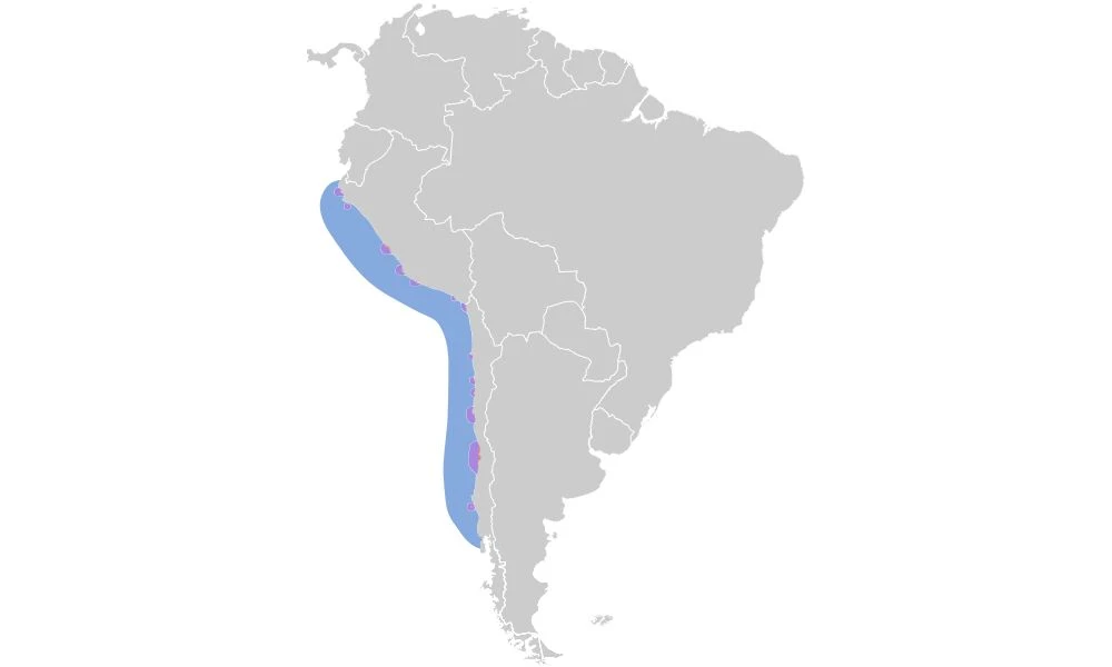 Mapa del hábitat del Pingüino de Humboldt.