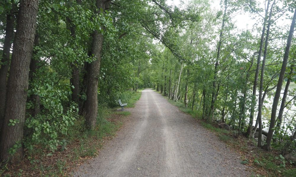 Naturaleza de Lauttasaari.