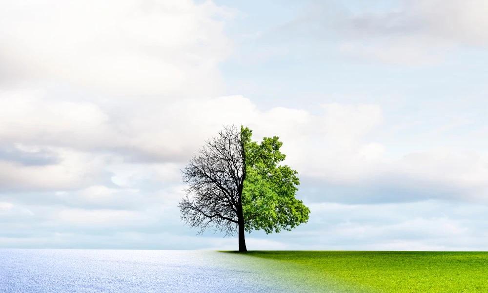 Verano en el sur e invierno en el norte: por qué las estaciones son opuestas entre los hemisferios de la Tierra