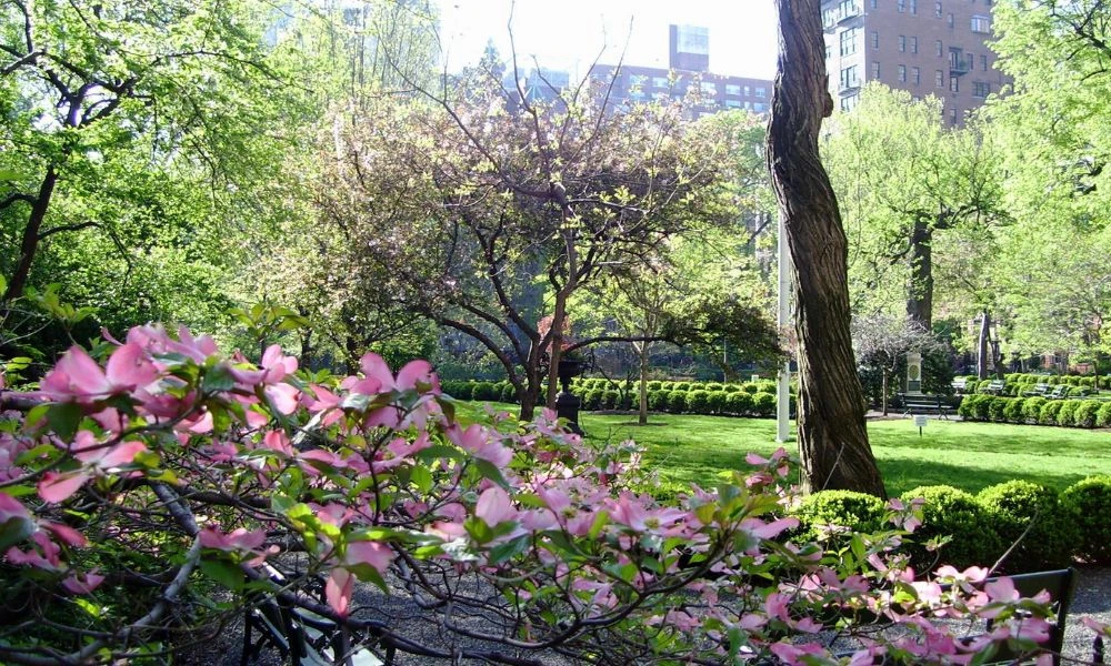 Naturaleza del lugar.