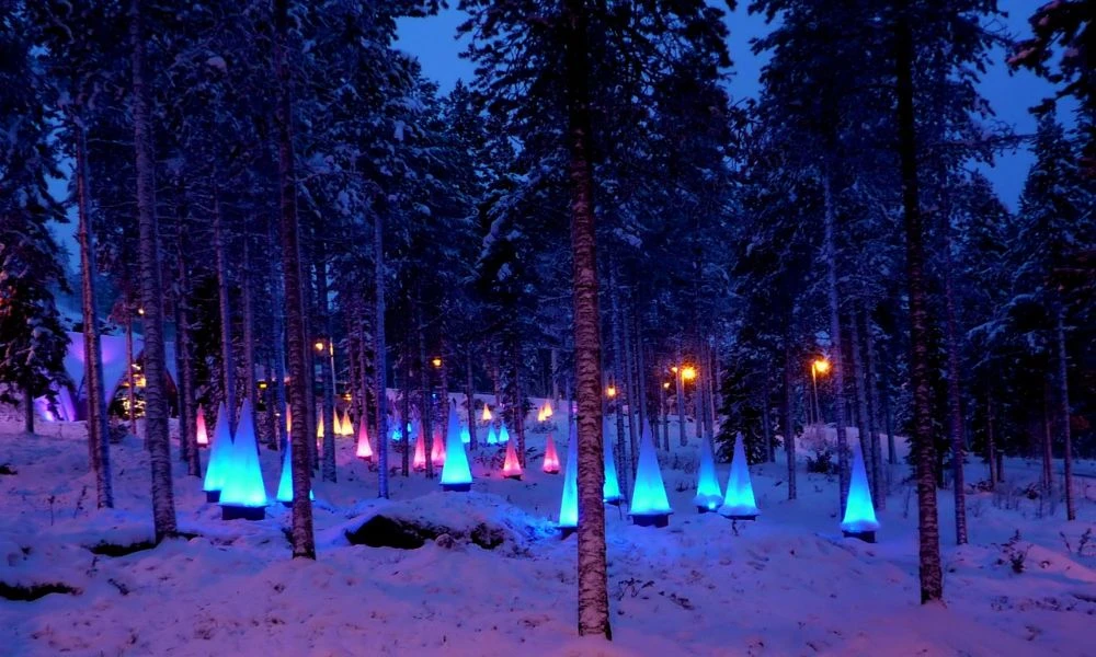 Bosques de Rovaniemi.