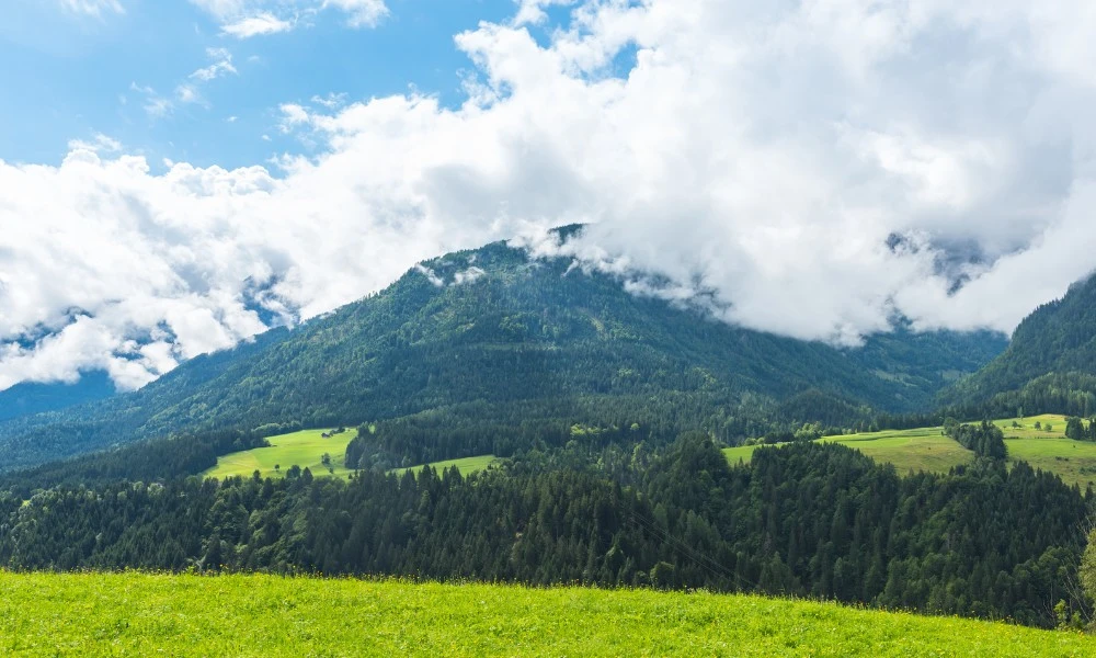 Austria: cinco datos curiosos del próximo rival de Argentina en el Mundial 2026