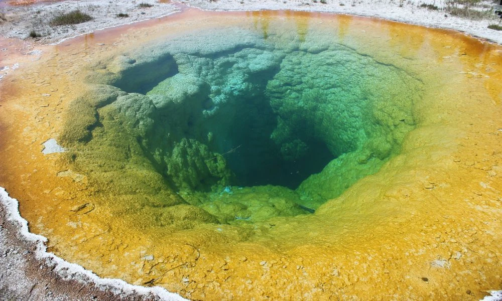 Aspecto de la fuente Morning Glory.