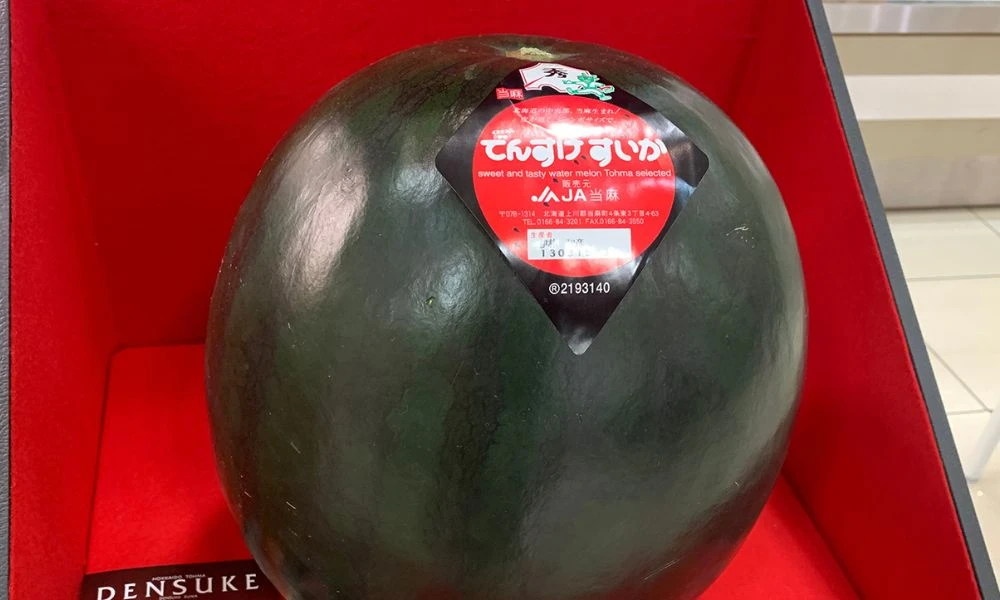 Sandía Desnuke y su aspecto.