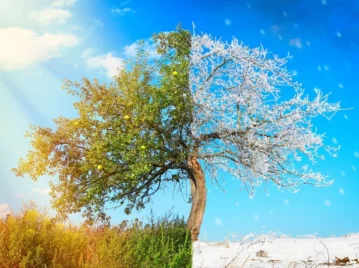 Verano en el sur e invierno en el norte: por qué las estaciones son opuestas entre los hemisferios de la Tierra