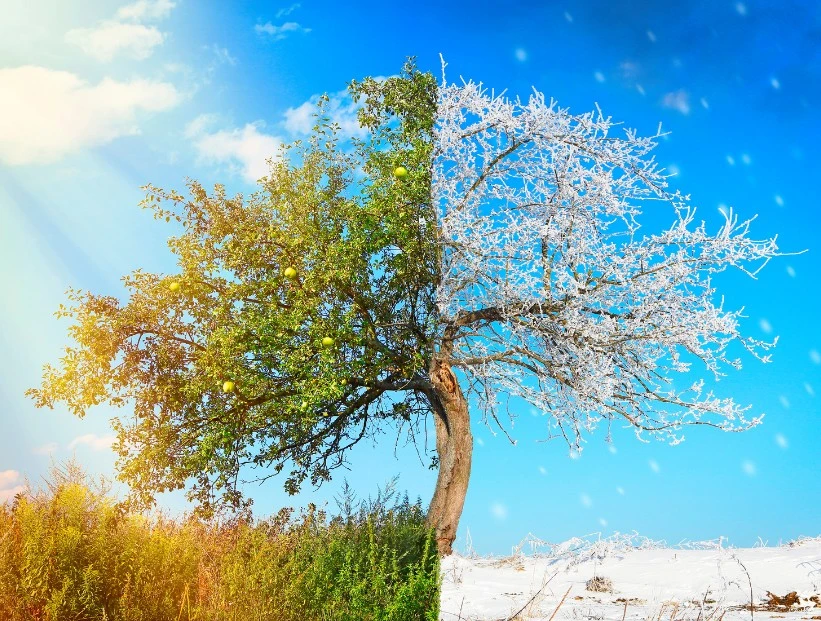 Verano en el sur e invierno en el norte: por qué las estaciones son opuestas entre los hemisferios de la Tierra