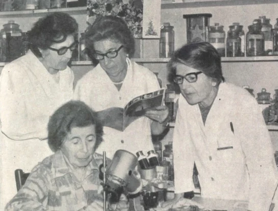 Antártida: quiénes fueron las primeras científicas argentinas en visitar el gran continente blanco