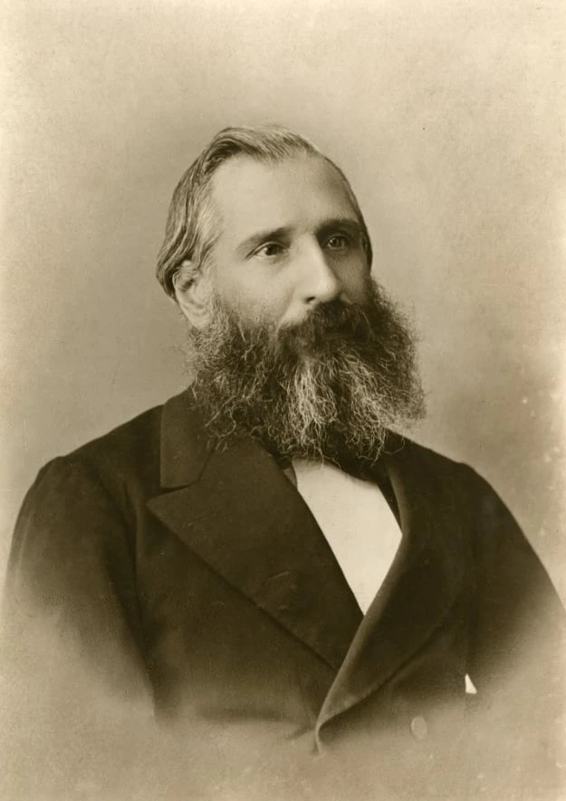 efemérides del 29 de diciembre: nace Adolfo Alsina