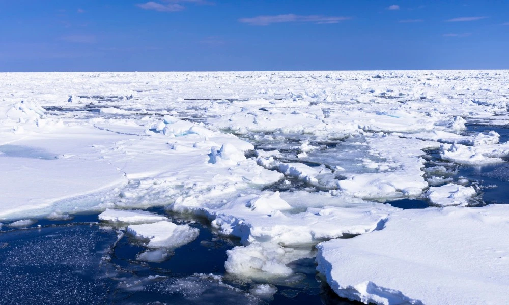 Océano Ártico: por qué es el océano más frío del mundo y qué temperatura alcanza