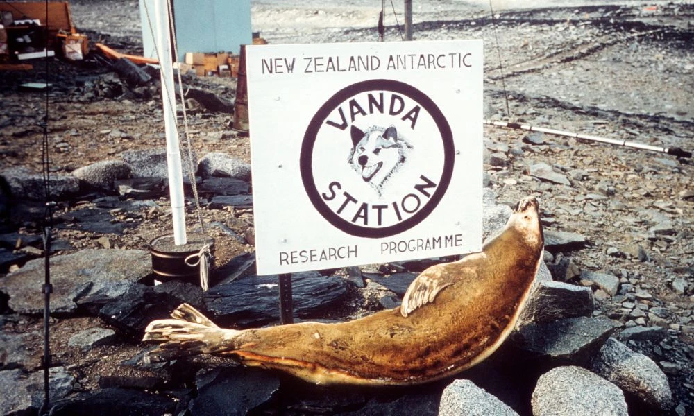 Imágenes del lugar.