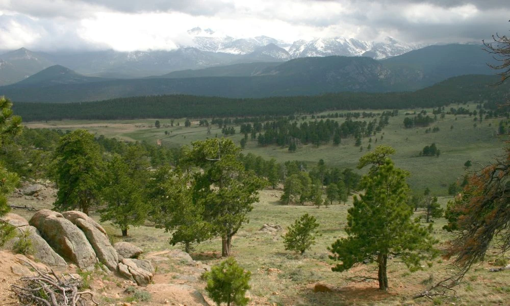 Zona verde del parque nacional de las Montañas Rocosas.