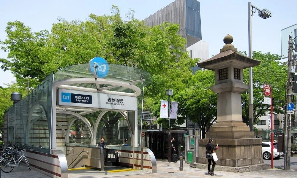 Ingreso a este medio de transporte.