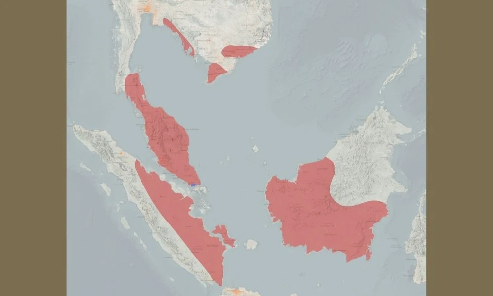 Zona donde habita el animal.