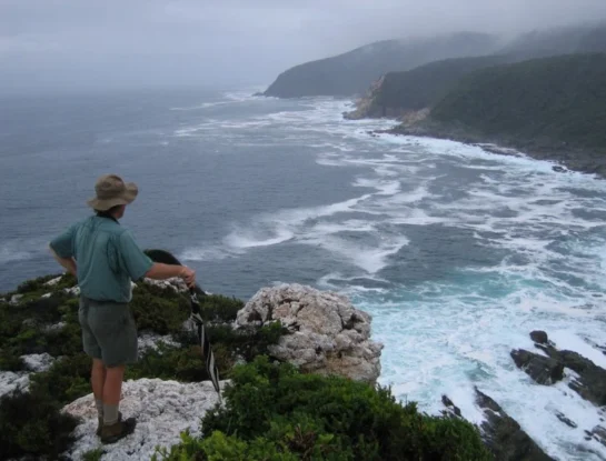 Otter Trail, el atractivo sendero de la costa que se adentra en los paisajes de Sudáfrica