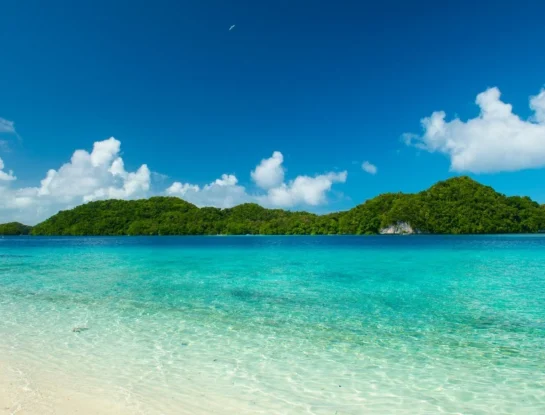 Pingelap: la isla del Pacífico donde sus habitantes no pueden ver el color