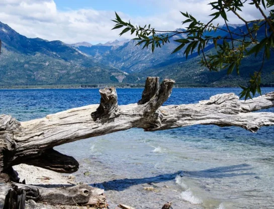 Puerto Patriada: el destino turístico de ensueño que está en el corazón de la Patagonia