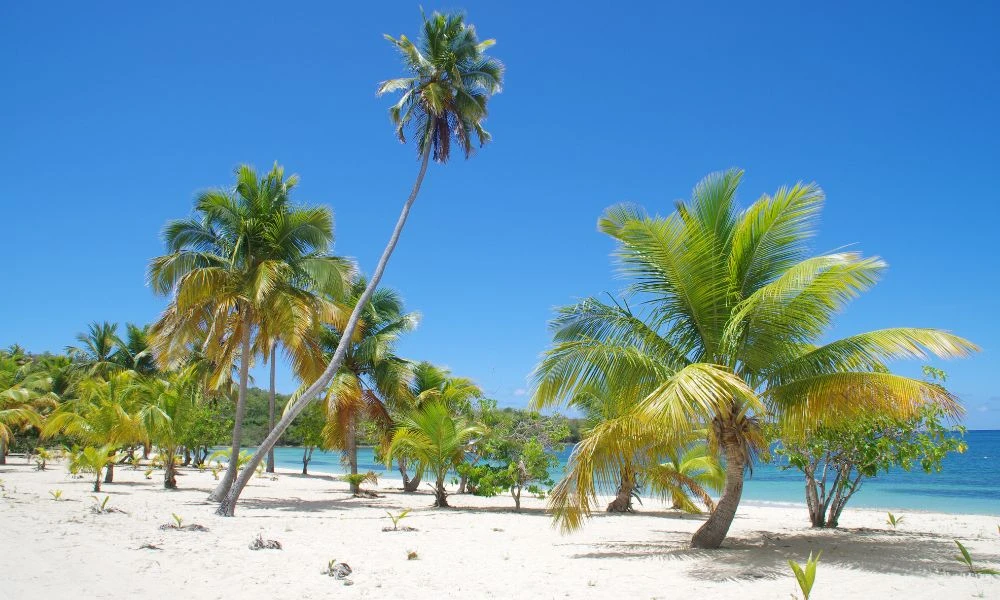 Paisajes de Isla Vieques.