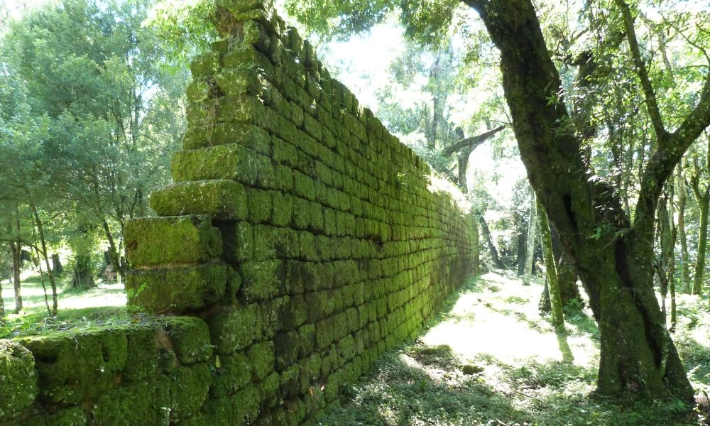Paredón antiguo del lugar.
