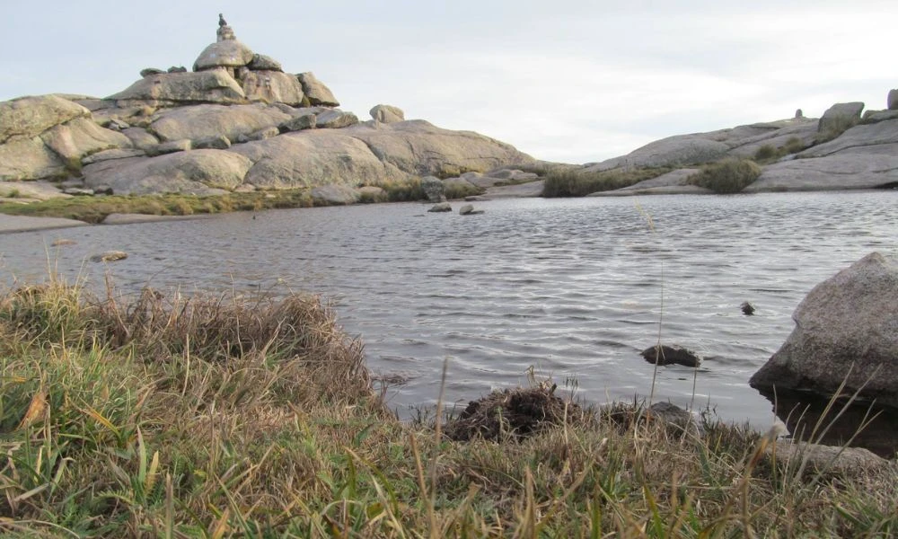 Naturaleza de la montaña.