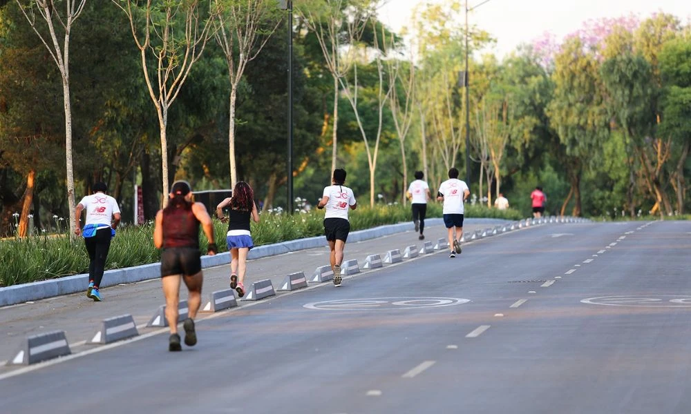 Gente disfruta del bosque.