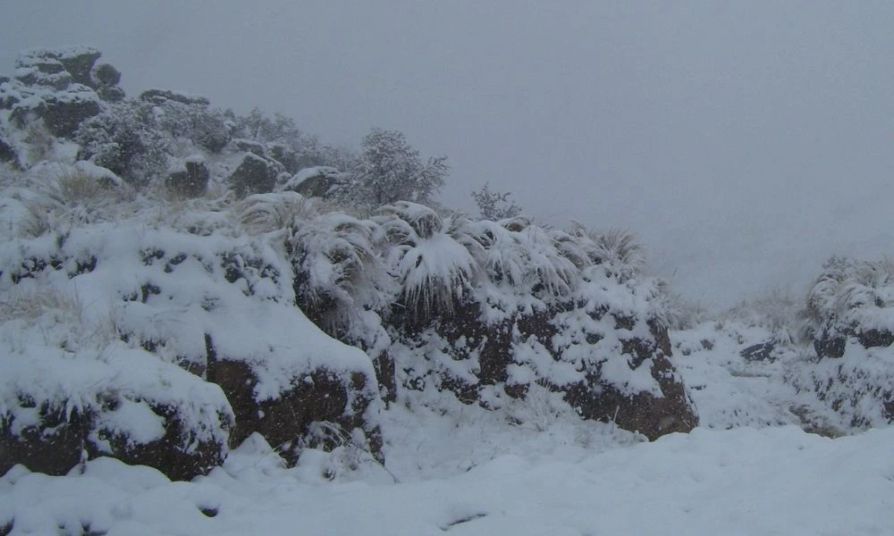 Nieve en el cerro Champaquí.