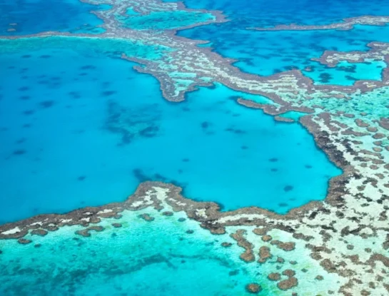 Gran Barrera de Coral: la estructura viva más grande del mundo puede verse desde el Espacio exterior