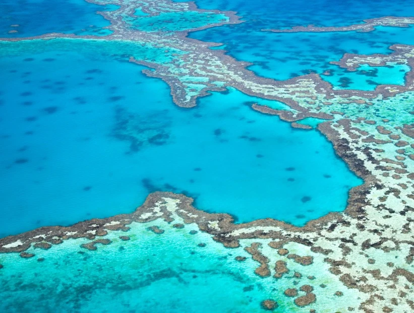 Gran Barrera de Coral: la estructura viva más grande del mundo puede verse desde el Espacio exterior