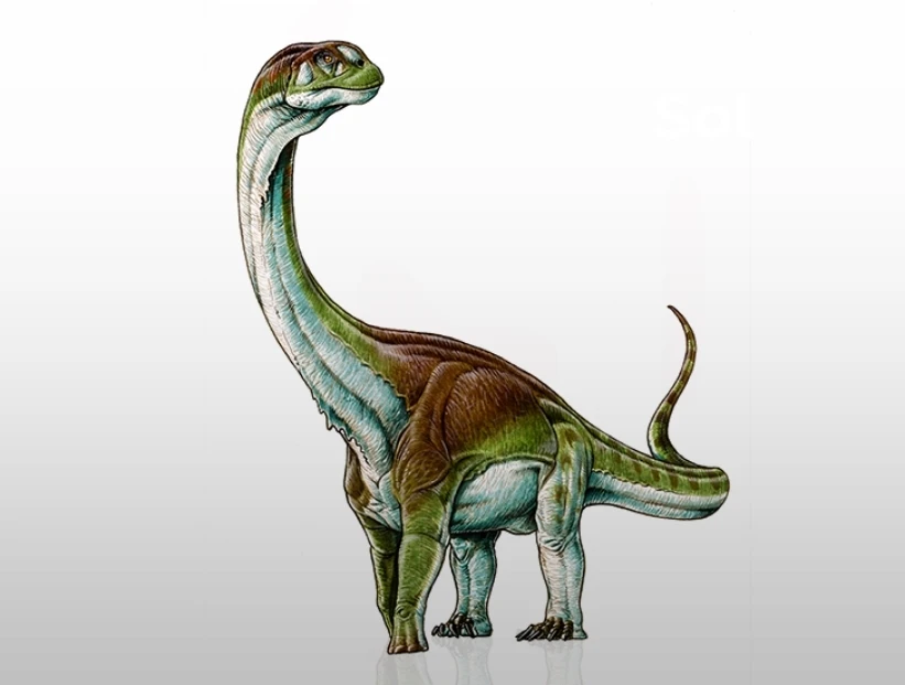 Patagotitan mayorum: el animal terrestre más grande de la historia fue un dinosaurio que vivió en Argentina