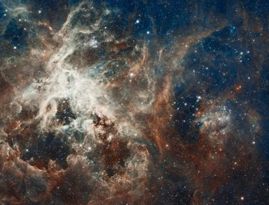 Nebulosa Tarántula: la joven vecina de la Vía Láctea que está a 160.000 años luz y tiene 2.000.000 de años