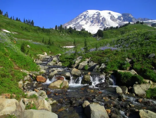 Monte Rainier: el pintoresco parque nacional de Estados Unidos que permanece abierto desde 1899