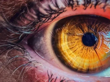 cómo percibe los colores el ojo humano