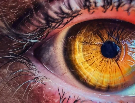 cómo percibe los colores el ojo humano