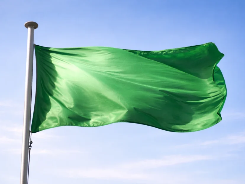 Libia: cuando un país tuvo una bandera completamente verde