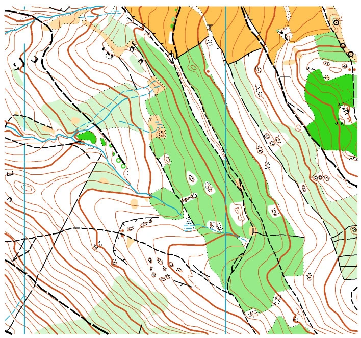 Curvas de nivel: las líneas que permiten leer montañas y valles en un mapa