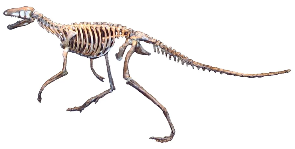 Marasuchus: el reptil que habitó en Sudamérica y fue uno de los antecesores de los dinosaurios