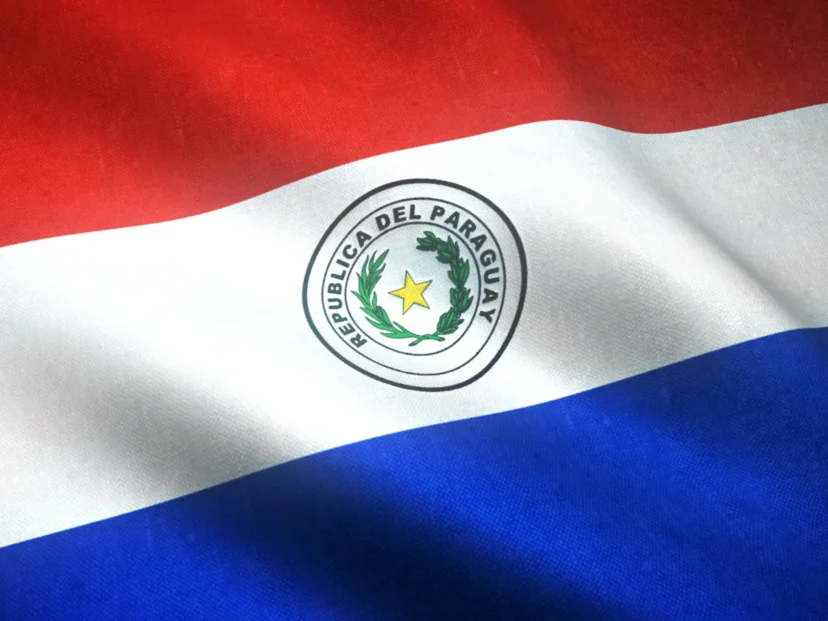 Bandera de Paraguay: por qué cambia según el lado que la mires