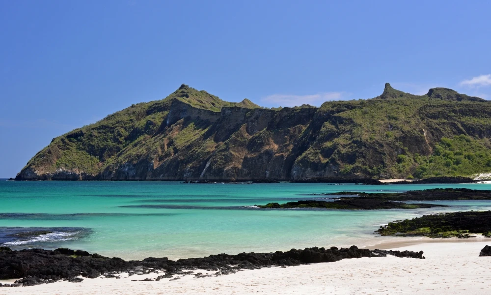 Galápagos: el archipiélago sudamericano que tiene un récord de especies endémicas