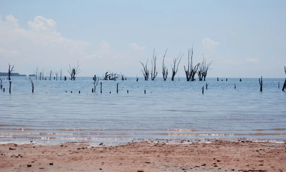 Vistas a Mar Chiquita.