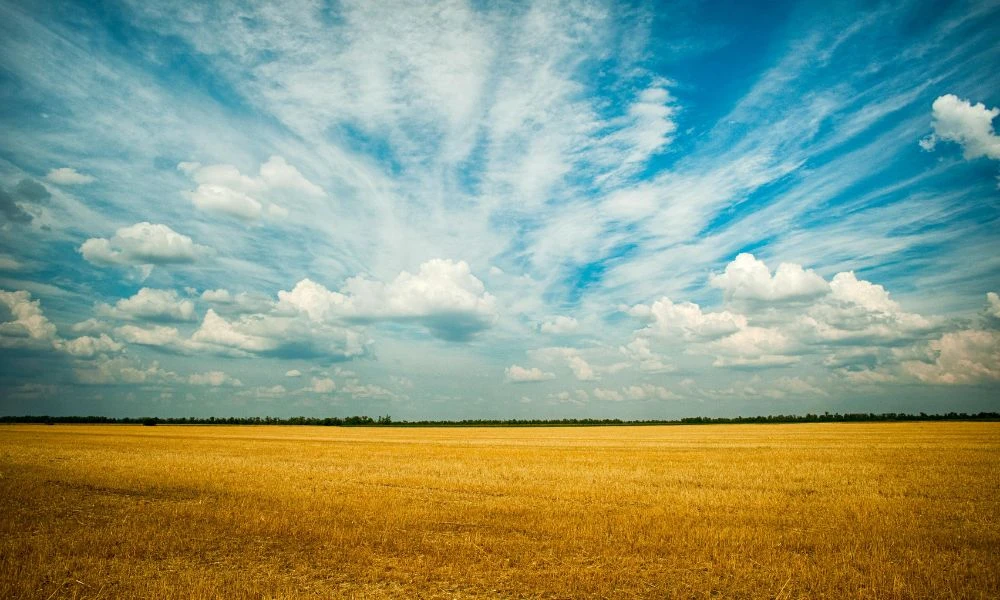 Paisaje en el Día Meteorológico Mundial.