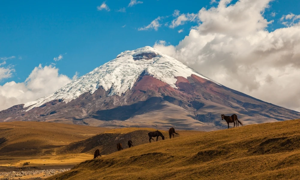 Volcán Cotopaxi: uno de los volcanes más peligrosos del mundo está en Sudamérica