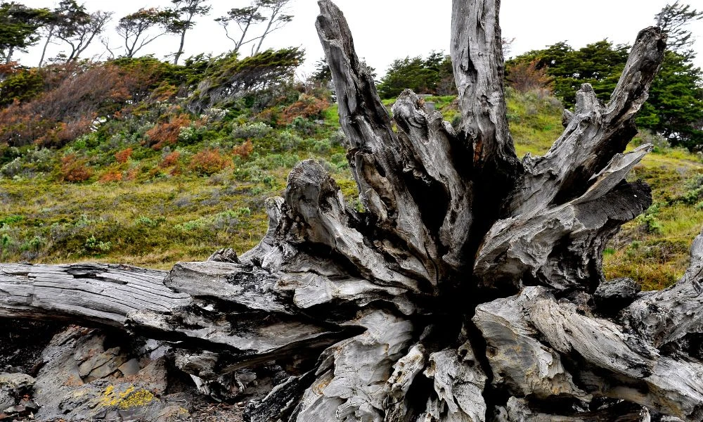 El lugar en la actualidad.