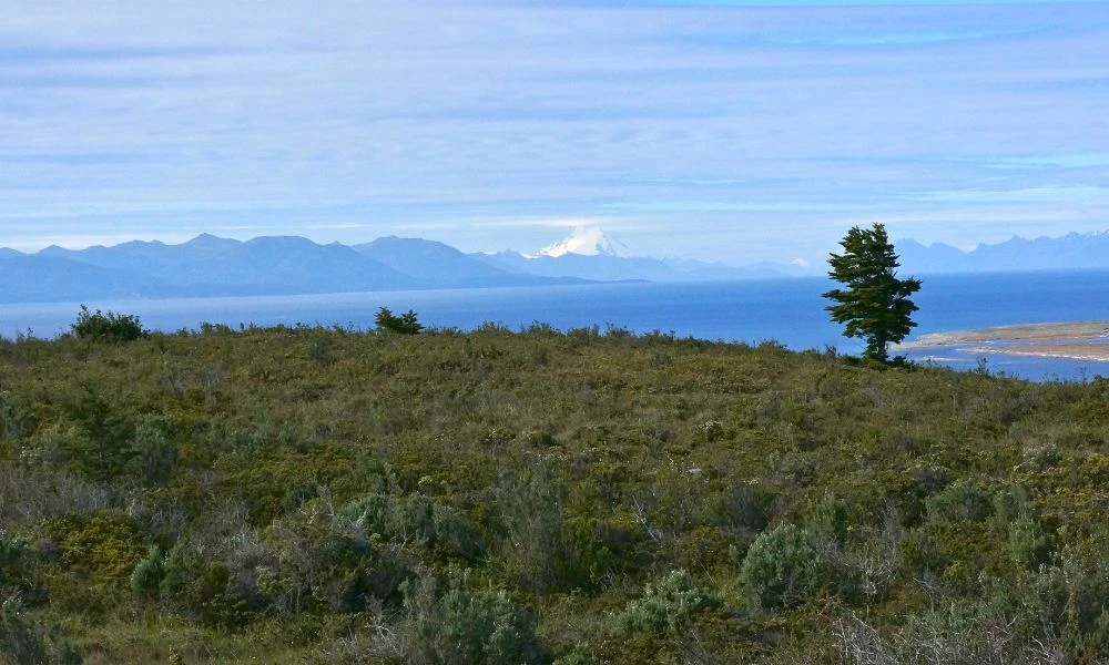 Paisajes patagónicos.