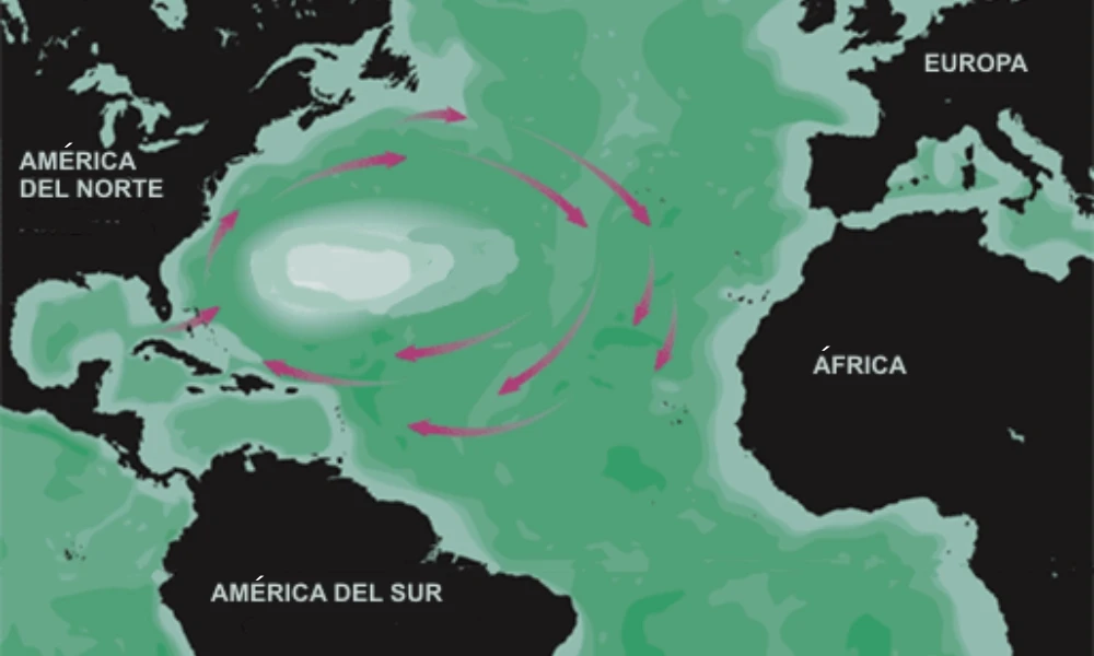 Mar de los Sargazos: por qué existe un mar que no toca ninguna costa