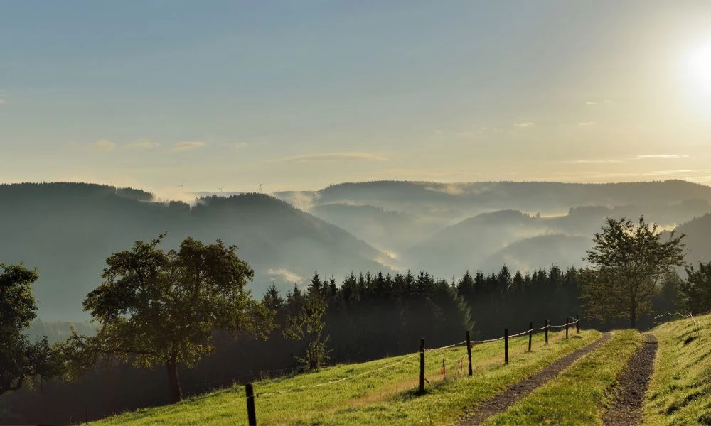 Vistas a la Selva Negra.
