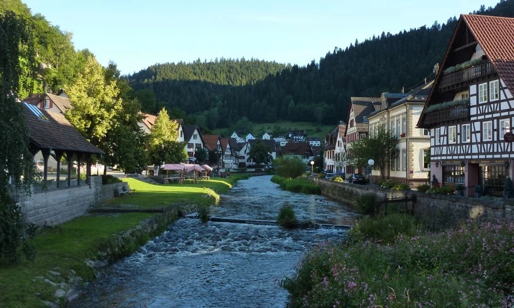 Casas en el medio de la Selva Negra.