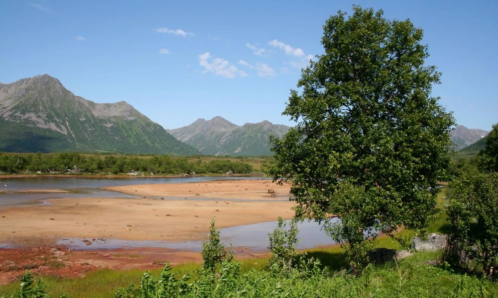 Naturaleza del lugar.