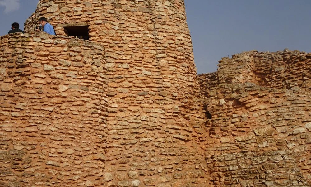 Detalles de Motilla del Azuer.