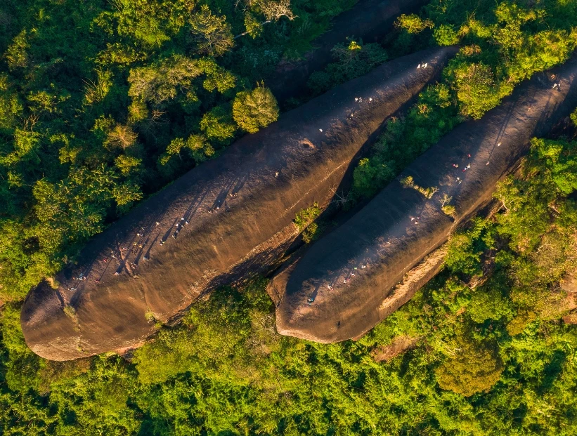 Roca de las Tres Ballenas: el curioso paisaje de Tailandia que tiene 75 millones de años y parece una familia de cetáceos en pleno bosque