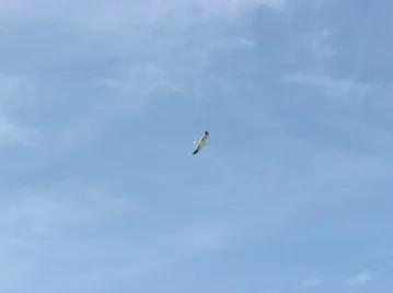 por qué el cielo es azul